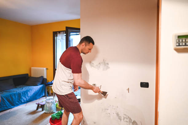 Trusted Bay Park, NY Mold Remediation Experts